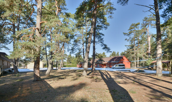 Small houses in the forest, spirng season