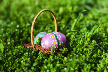 two easter eggs in a basket on a background of green grass