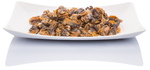 Fresh boiled cockle meat  in a white plate