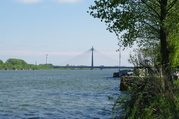Obraz premium Hängebrücke über die Donau in Wien 1