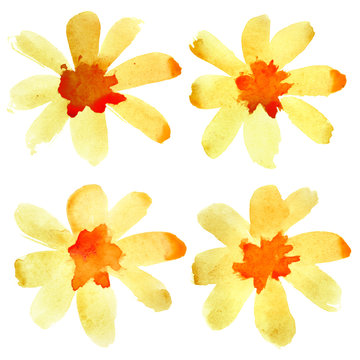 Yellow Watercolor Flowers