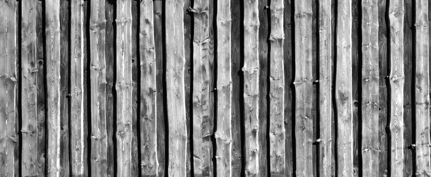 Timber board background