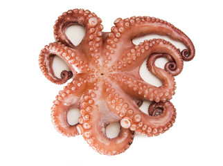 Pulpo cocido