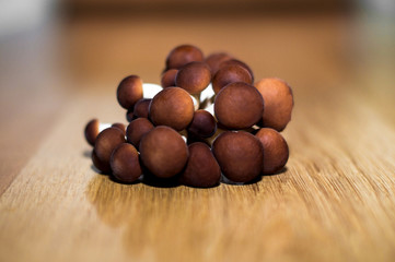 funghi pioppini (chiodini)