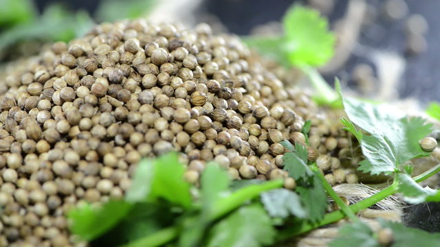 Coriander Seeds (loopable video)