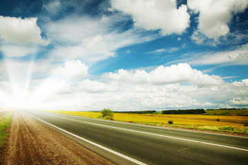 Road through the yellow sunflower field