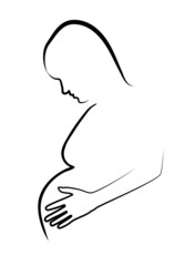 contours of the pregnant woman