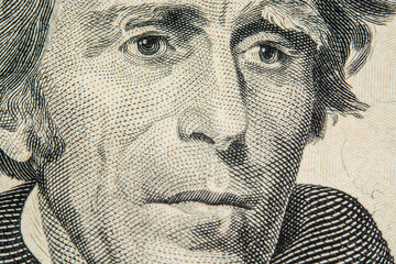 US Dollar bill, macro photography