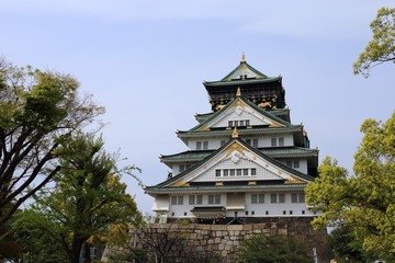 Fototapeta premium Osaka castle in Japan