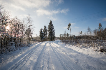 winter landscape, forest