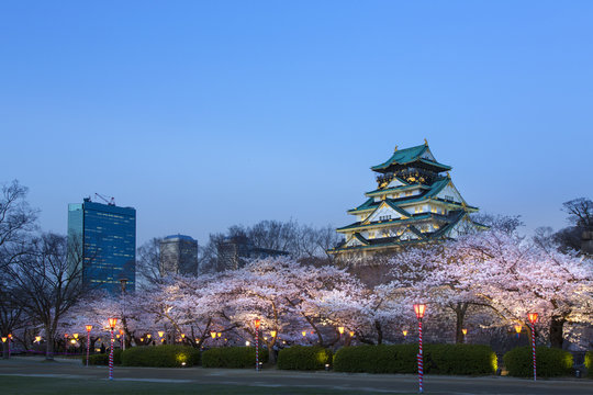 大阪城夜桜