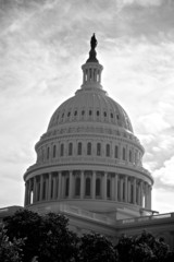 Obraz premium Dome of US Capitol Building