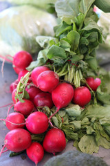 red radishes