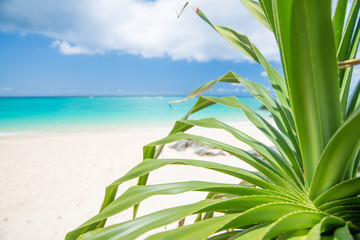 恩納村の海 © yuuta