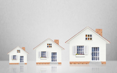 Mortgage concept by money house