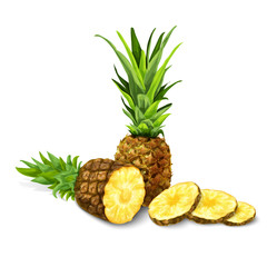 Pineapple isolated poster or emblem