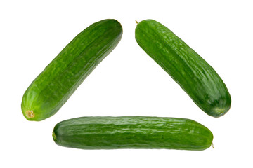 cuke collection