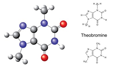 Structural chemical formulas and model of theobromine molecule
