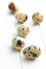 Fototapeta premium Quail eggs