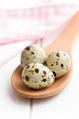 Quail eggs
