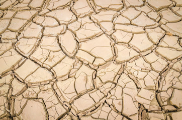 cracked soil