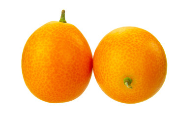 kumquat