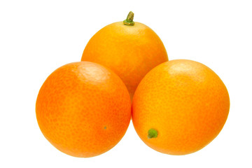 kumquat