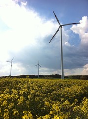 Raps und windrad