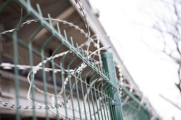 Barbed wire