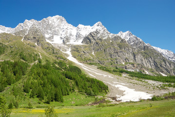 Fototapeta na wymiar Dolinie Ferret z Mont Blanc