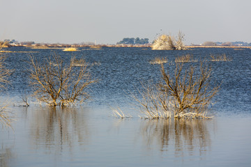 Tablas de Daimiel