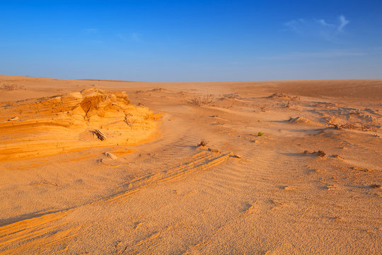 Sandy desert near Abu Dhabi, United Arab Emirates