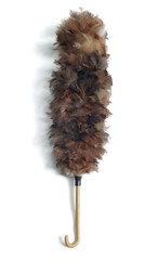 Feather duster isolated