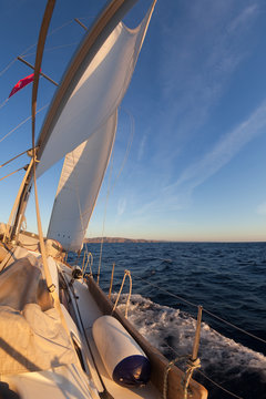 Sailboat during the regatta at sunset ocean