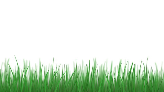 Grass and blue sky, loopable