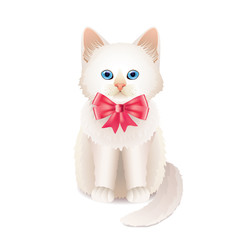 White kitten with pink bow vector illustration
