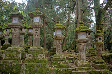 Stone lanterns, Nara, Japan