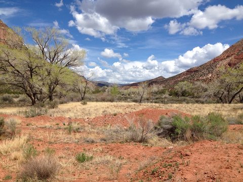 In The Canyon Of Jemez River