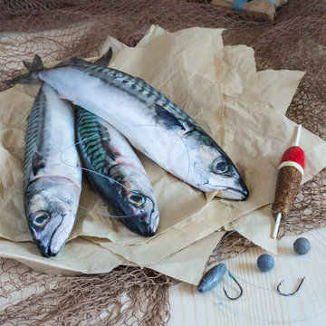 Bodeg&oacute;n de pesca con peces, anzuelos, sedal, boya y redes