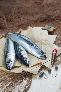 Bodeg&oacute;n de pesca con peces, anzuelos, sedal, boya y redes