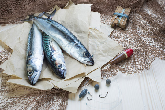Bodeg&oacute;n de pesca con peces, anzuelos, sedal, boya y redes