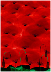 Panele Szklane Podświetlane  czerwone tło wektor pola maku