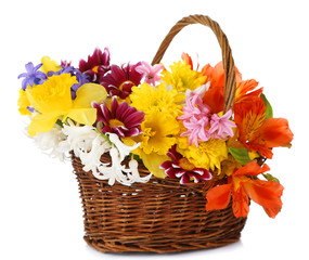Fototapeta na wymiar Beautiful flowers in wicker basket, isolated on white