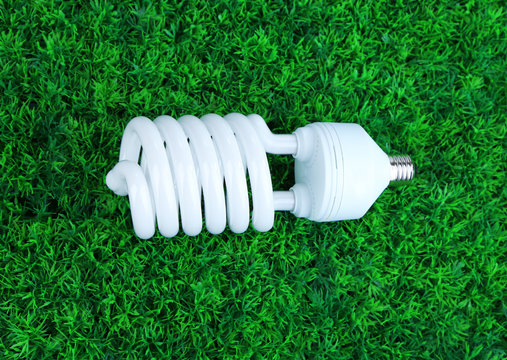 Energy saving light bulb on green grass background