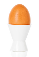 boiled Brown egg in cup, on a stand isolated on white