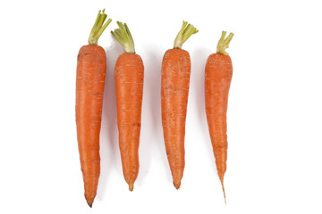raw and fresh carrots in closeup over white
