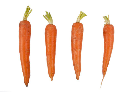 raw and fresh carrots in closeup over white © carballo