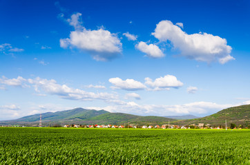 Fototapety na wymiar - Fototapeta24.pl