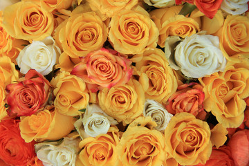 Fototapeta na wymiar yellow and white rose wedding arrangement