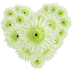green gerberas heart shape